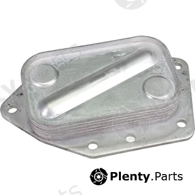 Birth 80786 — Oil Cooler, engine oil