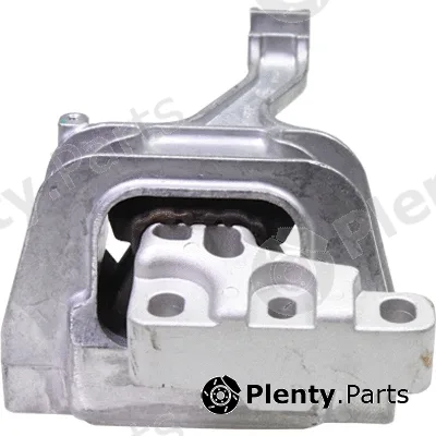 Birth 53078 — Mounting, engine