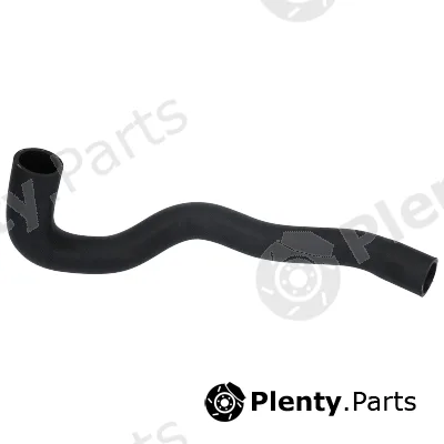 Birth 55034 — Radiator Hose