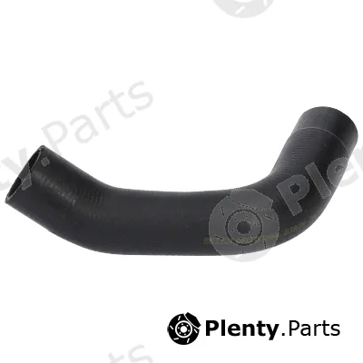 Birth 55153 — Radiator Hose