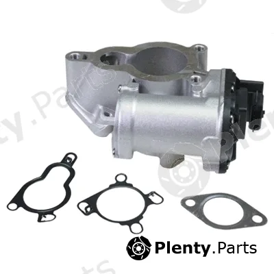 Birth 90021 — EGR Valve