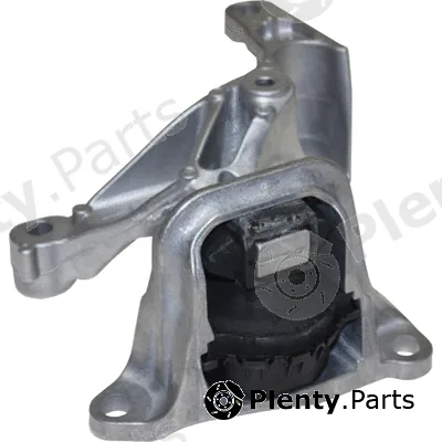 Birth 52202 — Mounting, engine