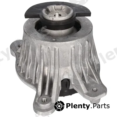 Birth 57003 — Mounting, engine
