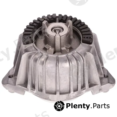 Birth 57030 — Mounting, engine