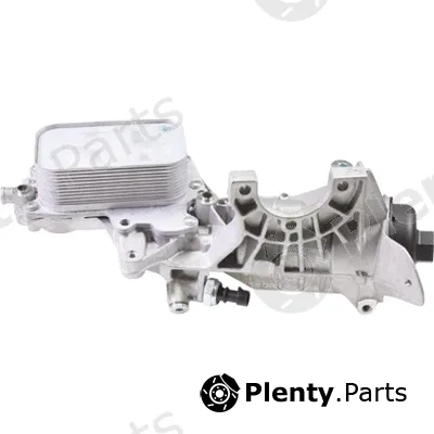 Birth 80776 — Oil Cooler, engine oil