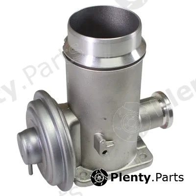 Birth 90101 — EGR Valve