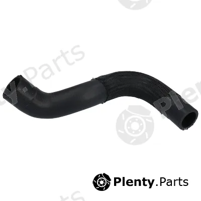 Birth 54890 — Radiator Hose