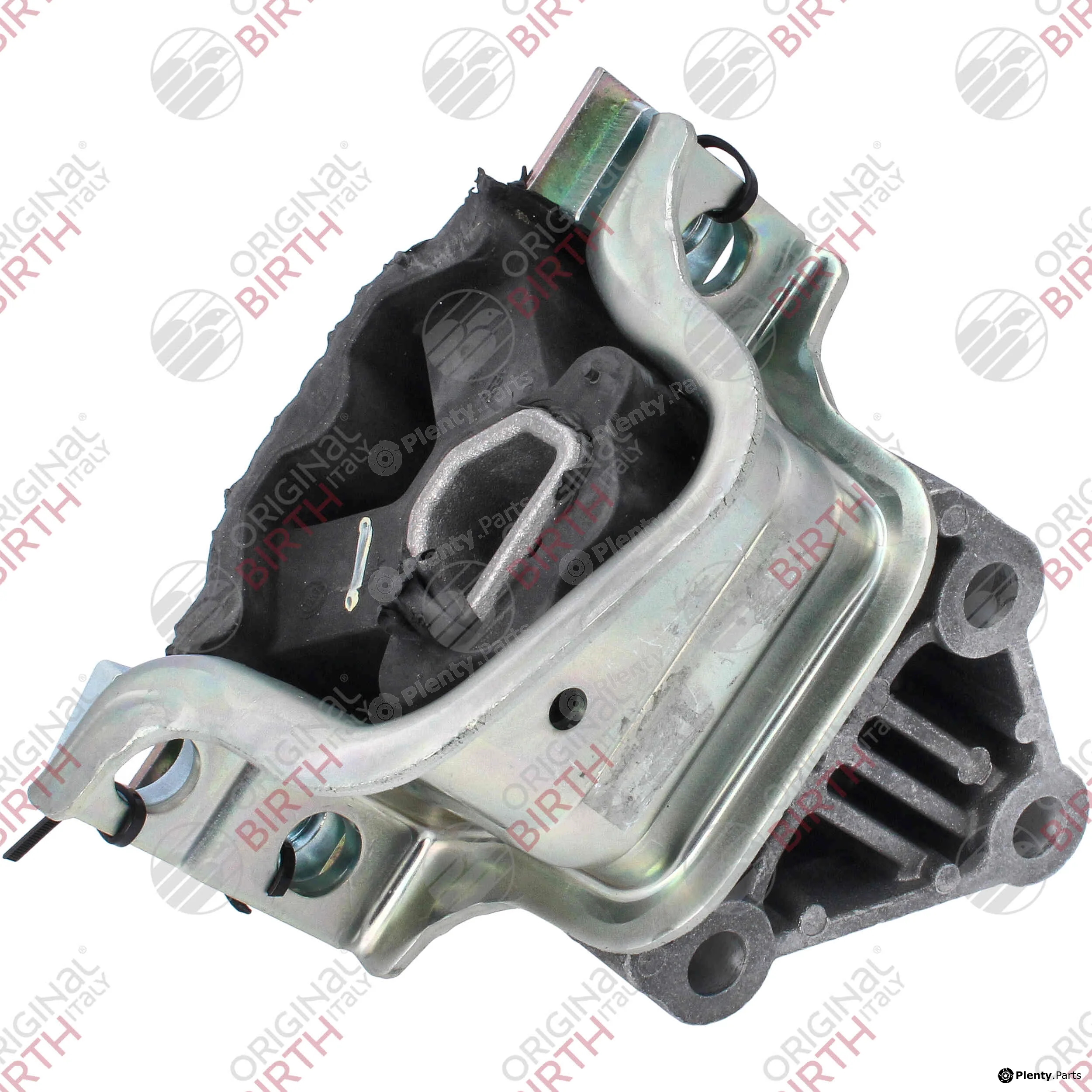 Birth 53781 — Mounting, engine