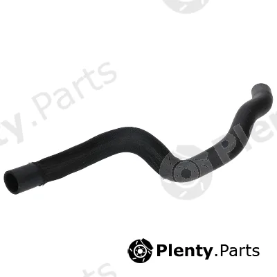 Birth 54586 — Radiator Hose