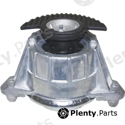 Birth 52264 — Mounting, engine