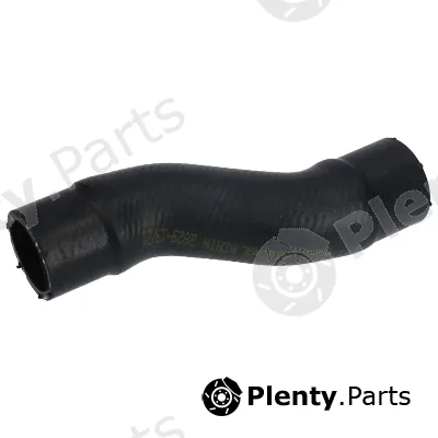 Birth 55292 — Radiator Hose