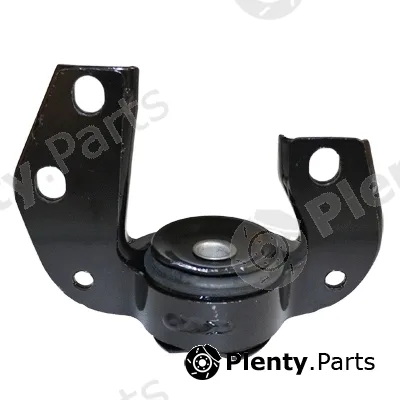 Birth 20078 — Mounting, control/trailing arm