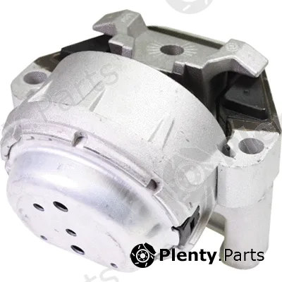 Birth 53312 — Mounting, engine