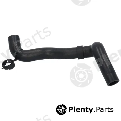 Birth 55401 — Radiator Hose