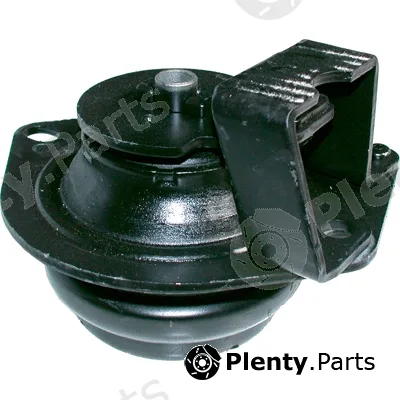 Birth 5953 — Mounting, engine
