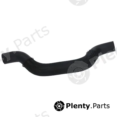 Birth 55038 — Radiator Hose