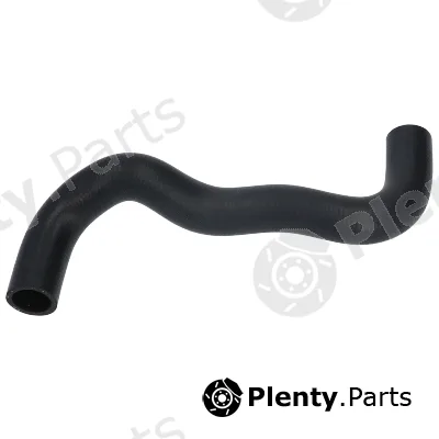 Birth 55035 — Radiator Hose