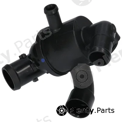 Birth 81081 — Coolant Flange