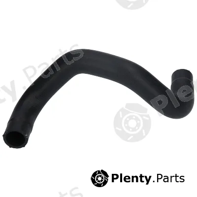 Birth 54874 — Radiator Hose