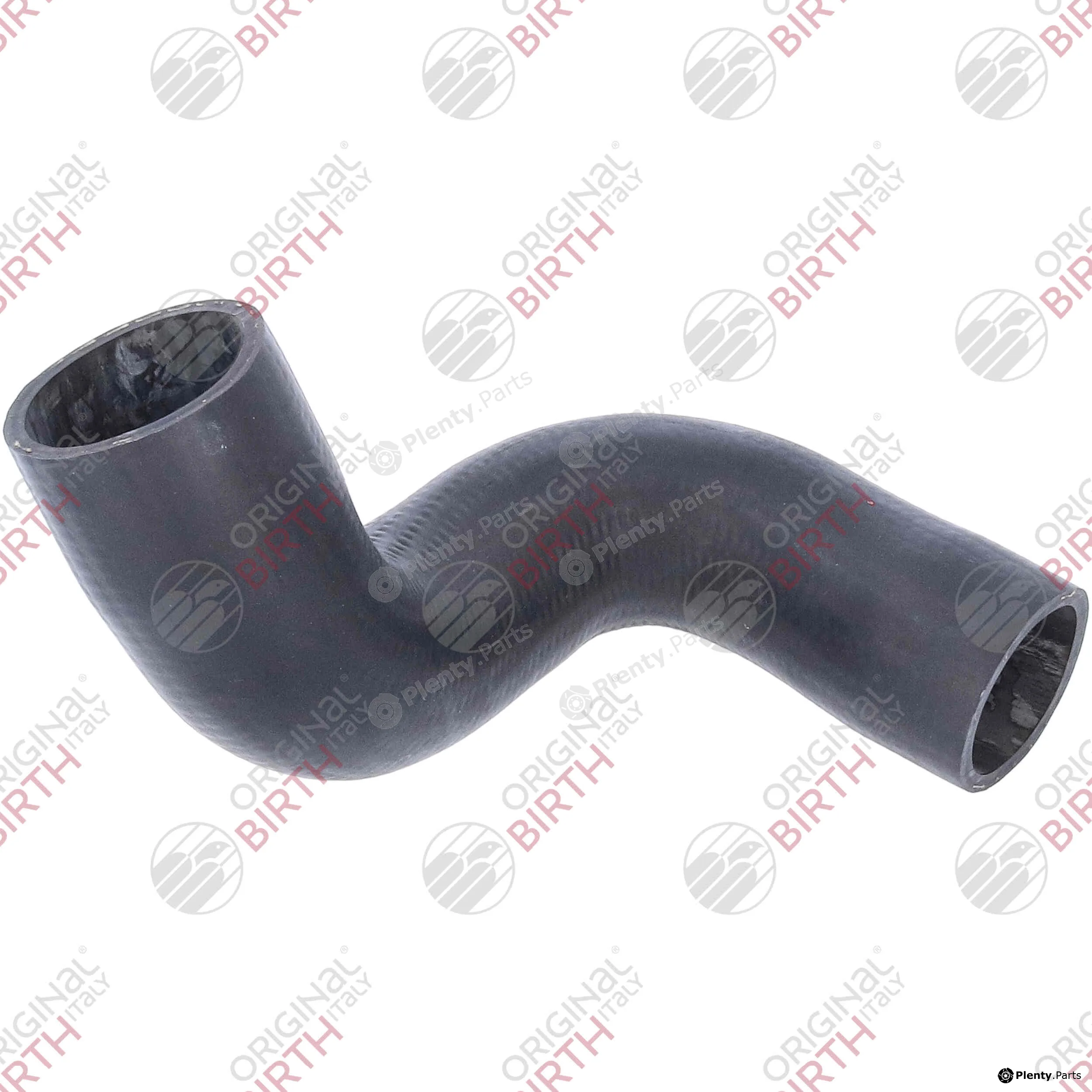 Birth 55690 — Radiator Hose