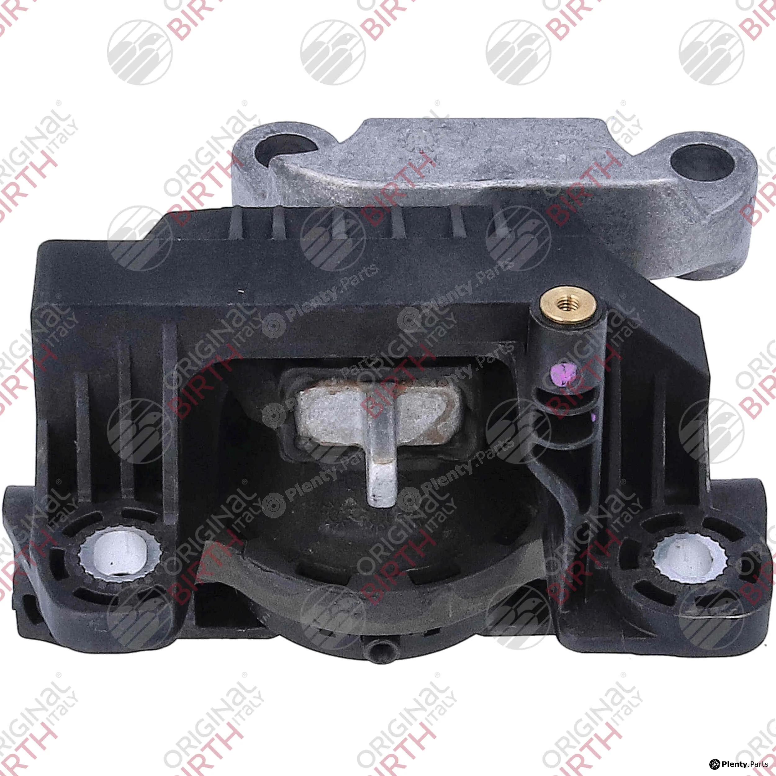 Birth 57108 — Mounting, engine