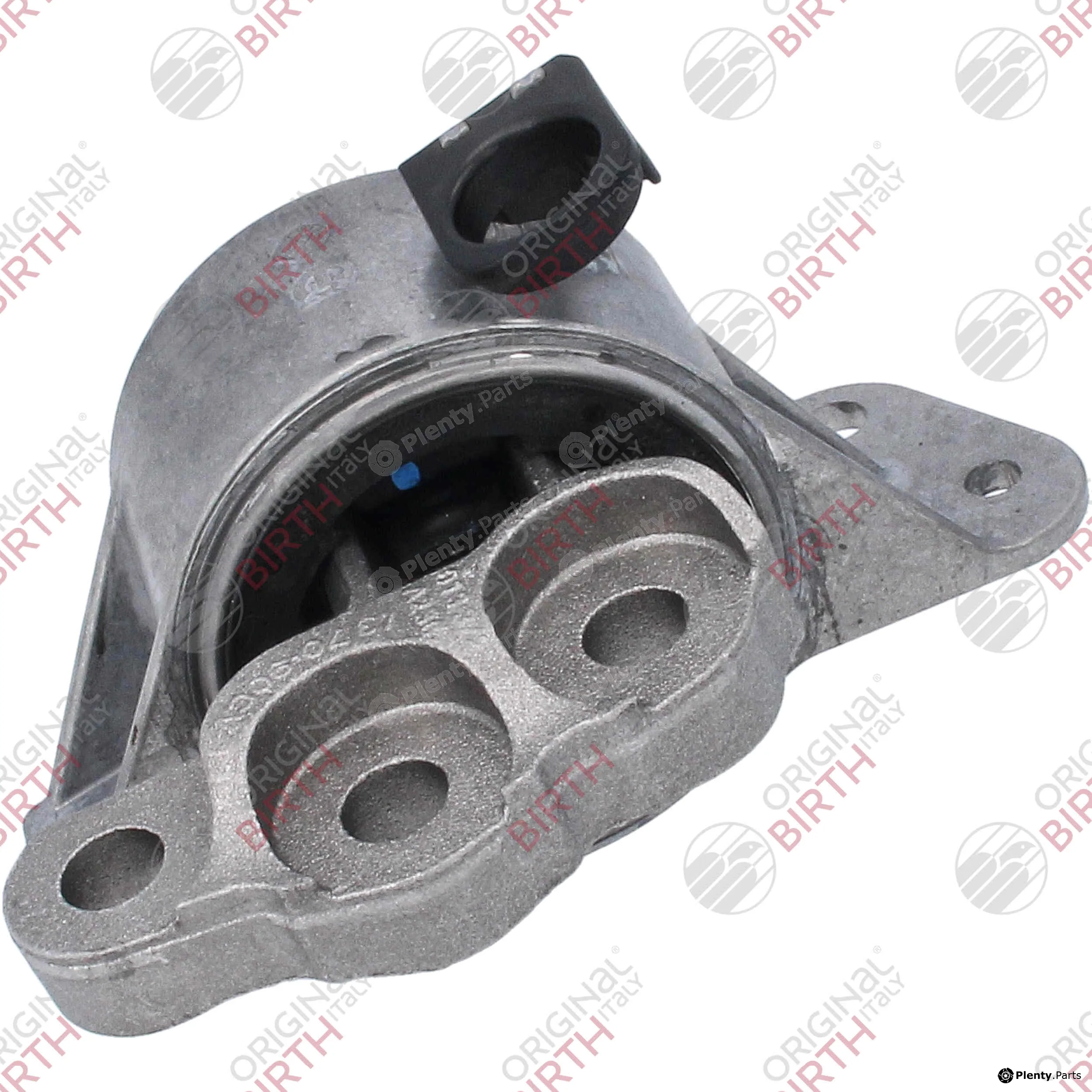 Birth 53531 — Mounting, engine