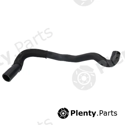 Birth 54575 — Radiator Hose