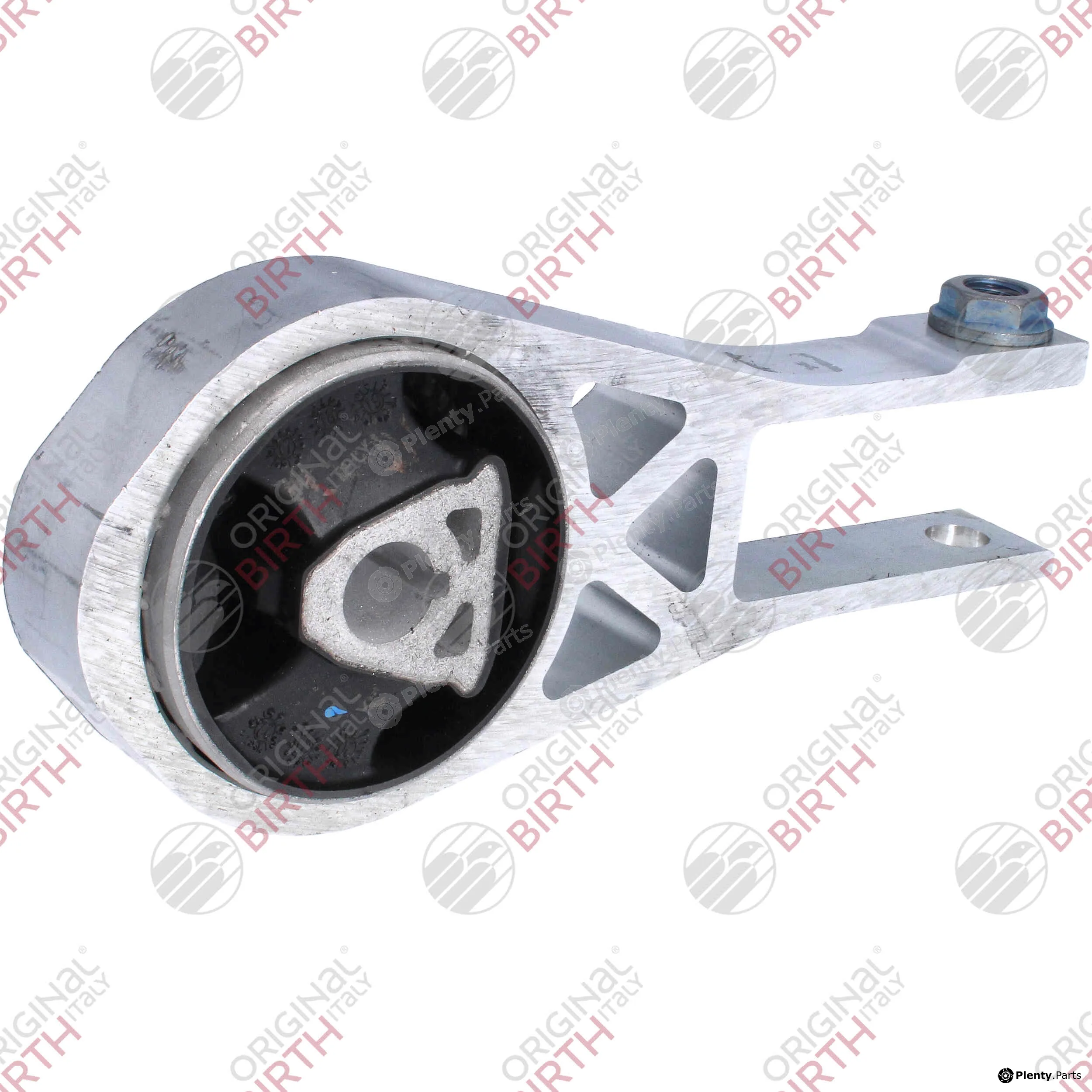 Birth 53787 — Mounting, engine