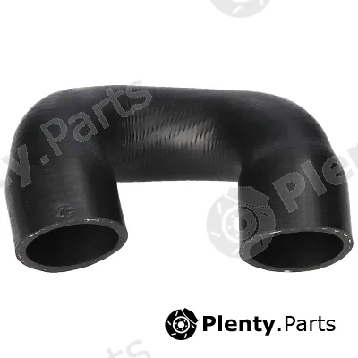 Birth 56266 — Radiator Hose