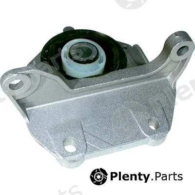 Birth 50391 — Mounting, engine