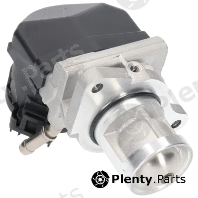 Birth 90103 — EGR Valve