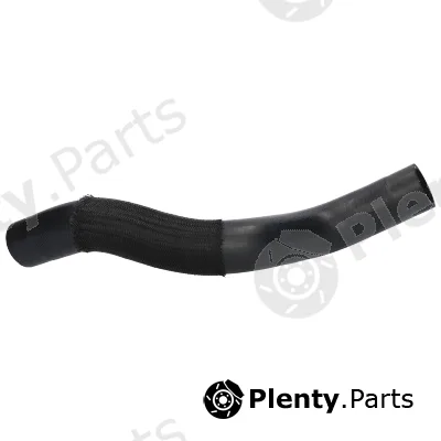 Birth 56230 — Radiator Hose