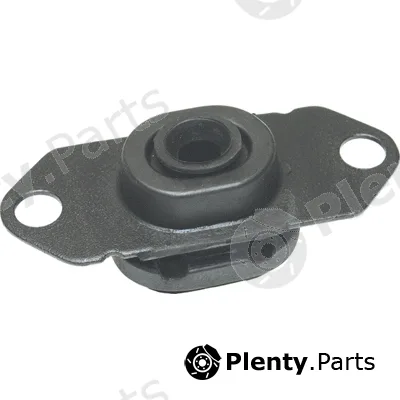 Birth 51507 — Mounting, engine