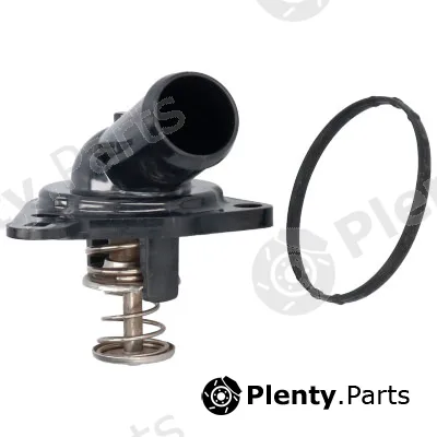Birth 81124 — Coolant Flange