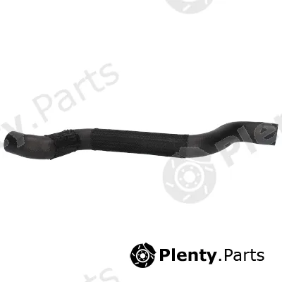 Birth 56236 — Radiator Hose