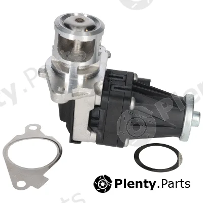 Birth 90106 — EGR Valve