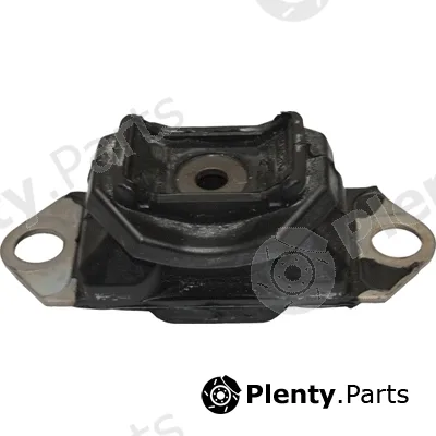 Birth 51593 — Mounting, engine