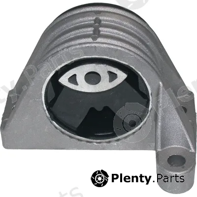 Birth 50863 — Mounting, engine
