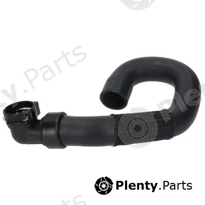 Birth 54749 — Radiator Hose
