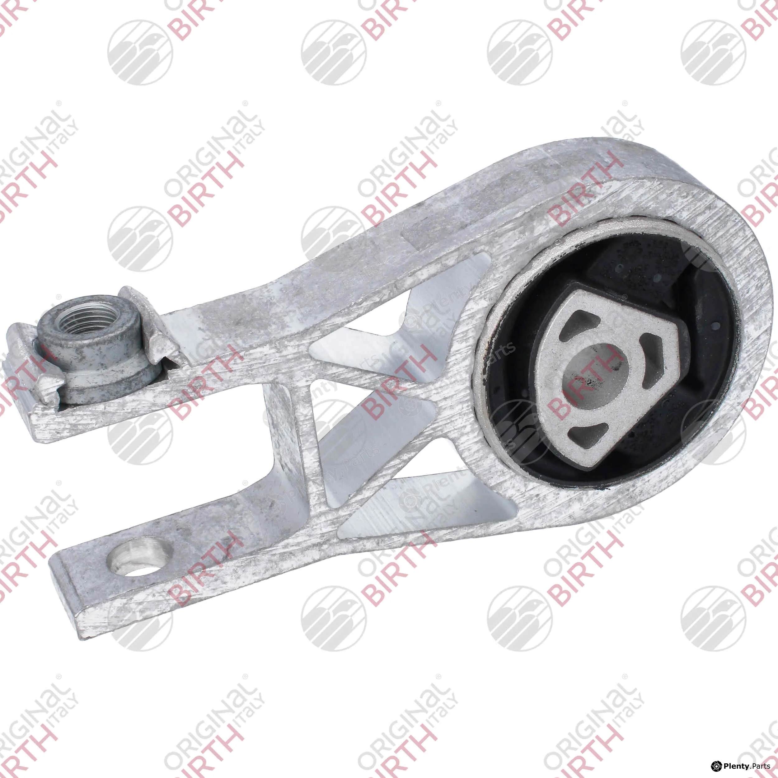 Birth 53784 — Mounting, engine