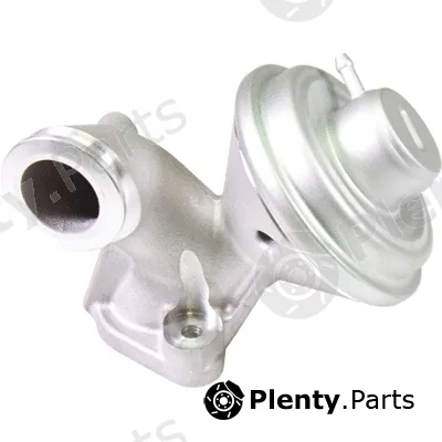 Birth 90091 — EGR Valve