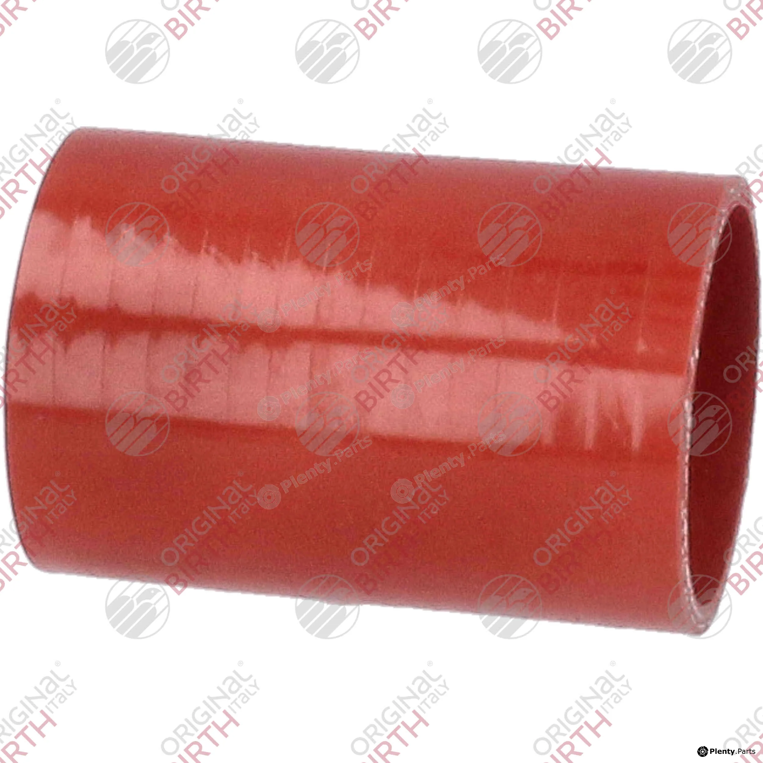 Birth 55634 — Charge Air Hose