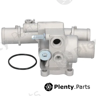 Birth 81129 — Coolant Flange