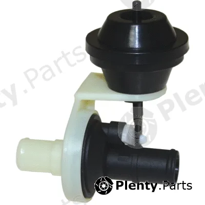 Birth 8117 — Coolant Control Valve