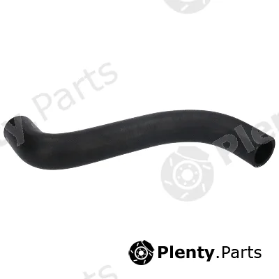 Birth 55089 — Radiator Hose