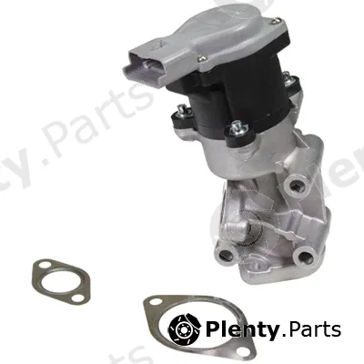 Birth 90076 — EGR Valve