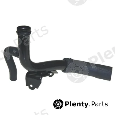 Birth 52338 — Coolant Pipe
