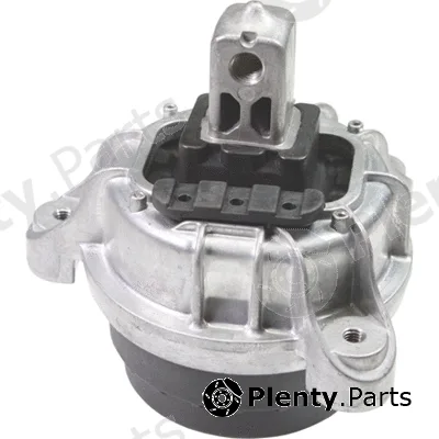 Birth 53301 — Mounting, engine