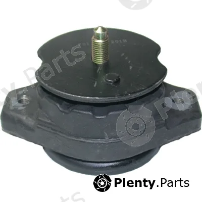 Birth 51293 — Mounting, engine