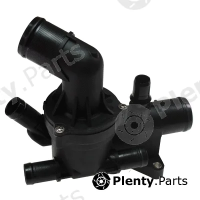 Birth 81061 — Coolant Flange